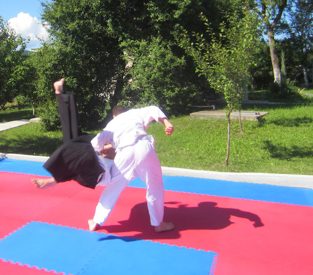 Society of Traditional Japanese Culture "Aikikai" in Bosnia and Herzegovina